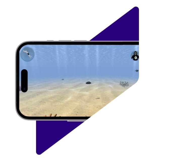 SoftGrad Intervention – Sinyar Diving