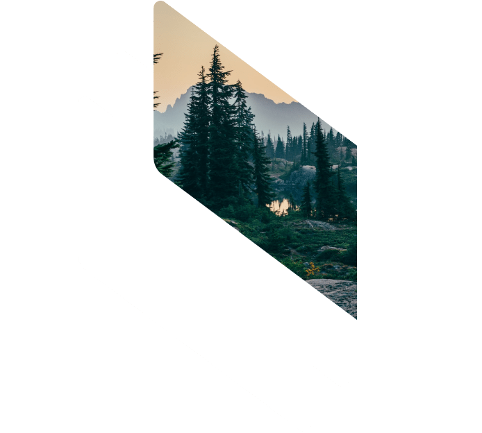 Project Description – Smart Forest